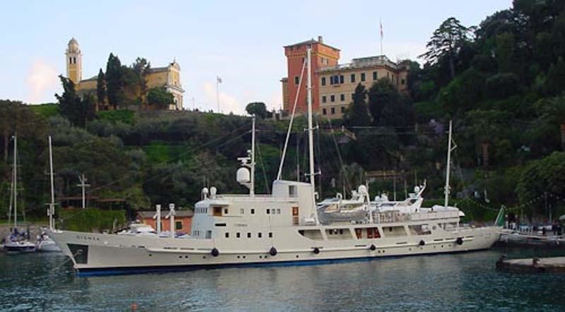 Dionea