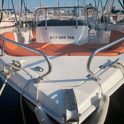 Barracuda 545