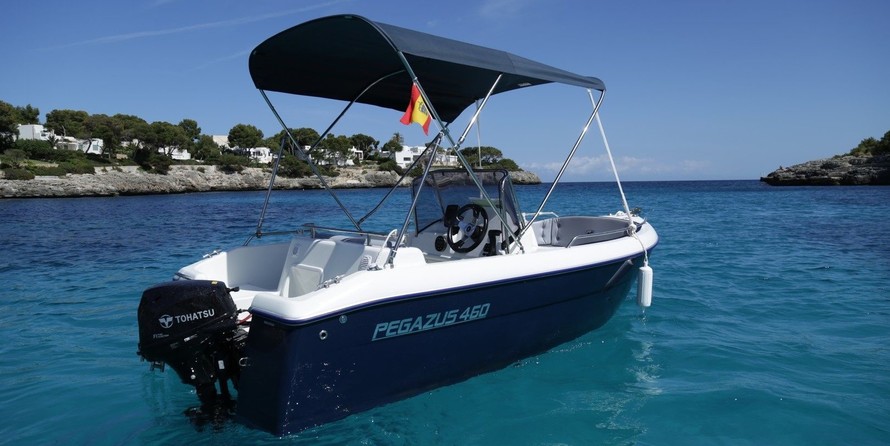 Pegazus 460