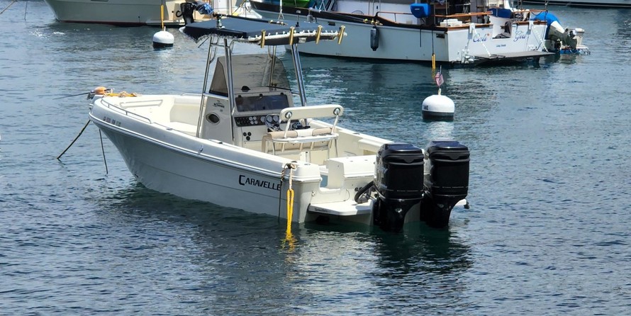 Caravelle sea hawk 230