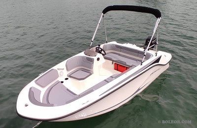 Bayliner M15
