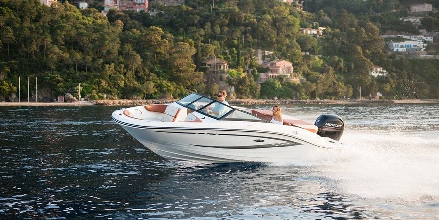 Sea Ray 190