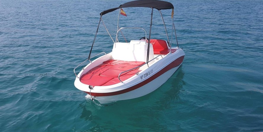 Remus 450