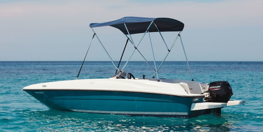 Bayliner Element